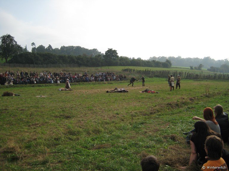 sept09_wikinger2.jpg
