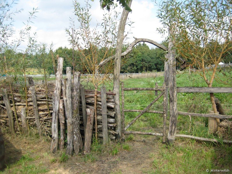 september2011adventon_wikinger12.jpg