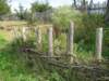 september2011adventon_wikinger6_small.jpg