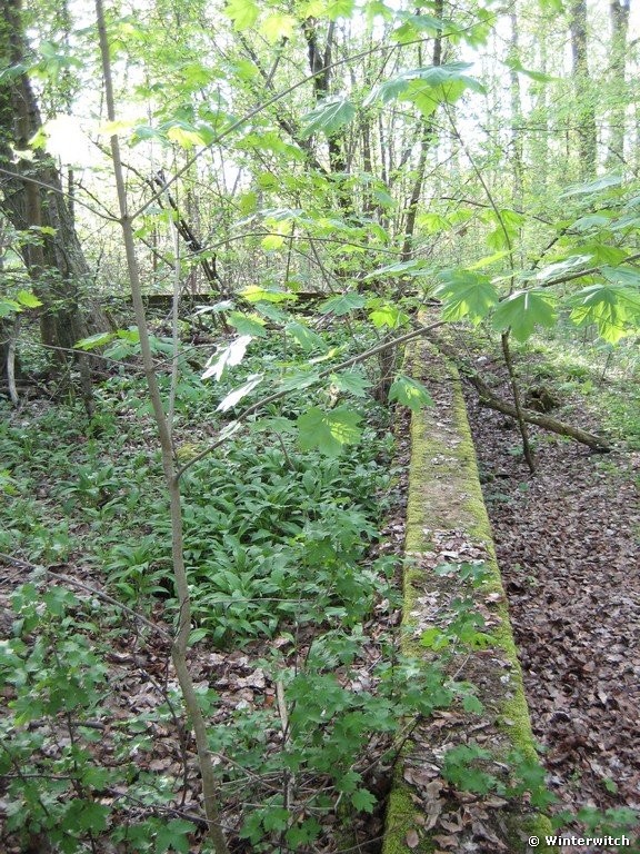 april_201105.jpg