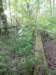 april_201105_small.jpg
