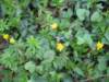 april_201106_small.jpg