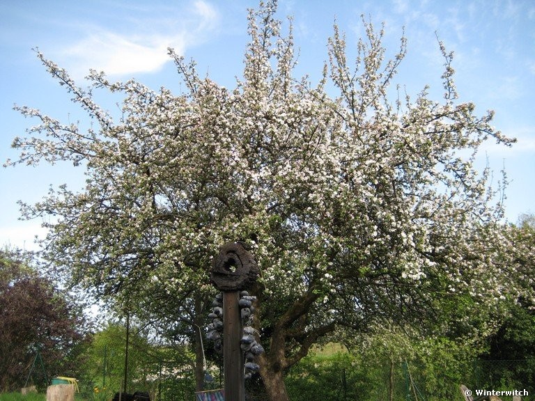 april_201111.jpg