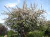 april_201111_small.jpg