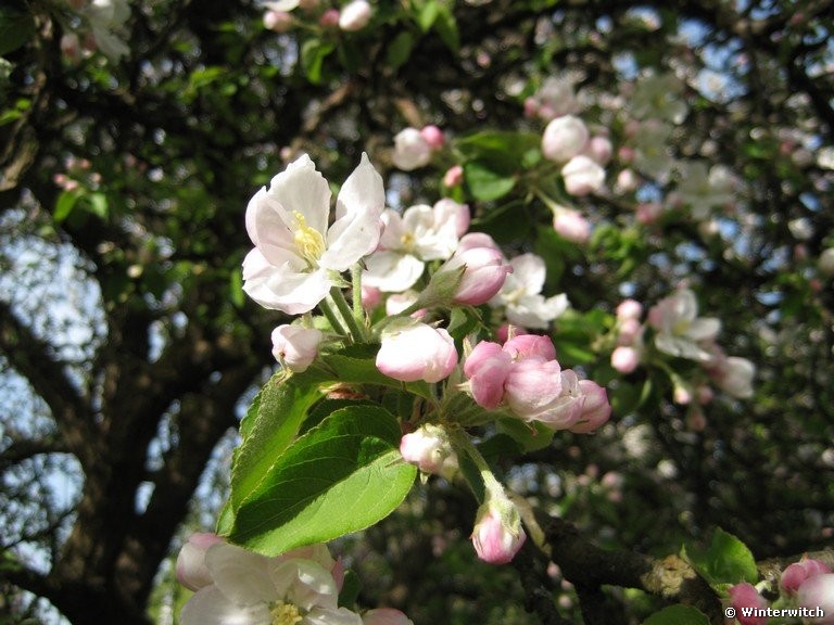 april_201115.jpg