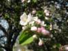 april_201115_small.jpg