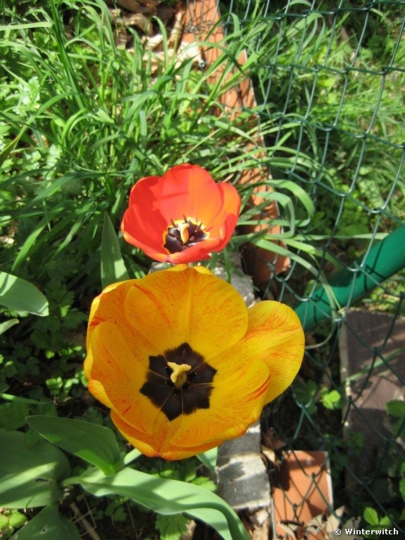 april_201120.jpg