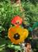 april_201120_small.jpg