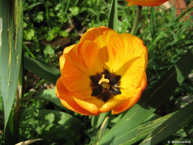 april_201121.jpg