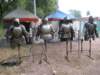 spectaculum_speyer_201314_small.jpg