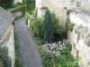 montsoreau6_small.jpg