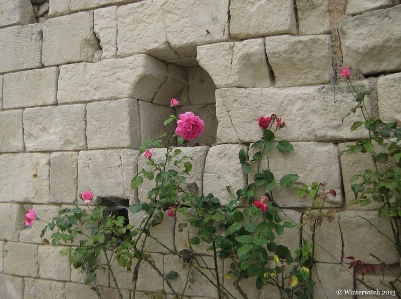 montsoreau7.jpg