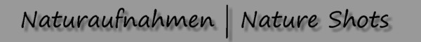 Button Naturaufnahmen