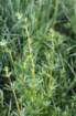 april_1010_small.jpg