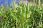 april_1012_small.jpg