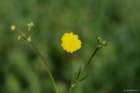 april_1013_small.jpg