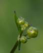 april_1014_small.jpg