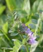 april_1015_small.jpg