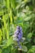 april_1016_small.jpg