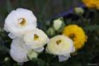 april_1017_small.jpg