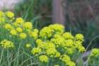april_1019_small.jpg