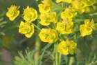 april_102_small.jpg