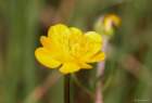 april_103_small.jpg