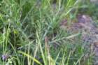 april_105_small.jpg