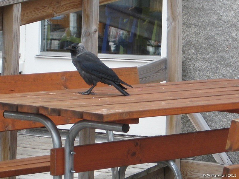 uddevalla6.jpg