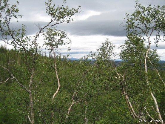siljan08fjell29.jpg