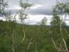 siljan08fjell29_small.jpg