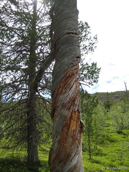 siljan08fjell33.jpg