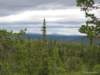 siljan08fjell35_small.jpg