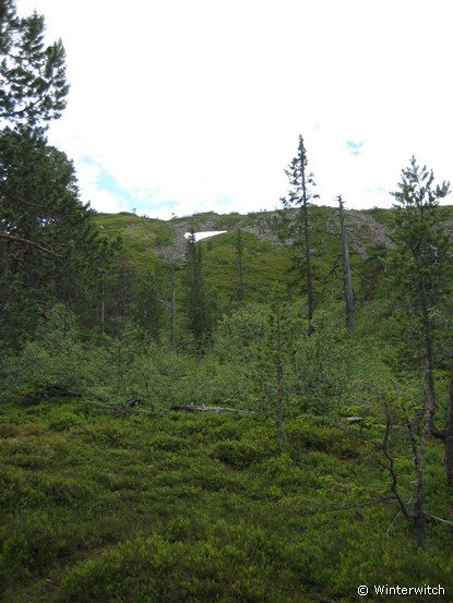 siljan08fjell37.jpg