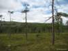 siljan08fjell5_small.jpg