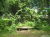 siljan08hildasholm14_small.jpg