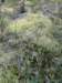 siljan08outback10_small.jpg