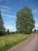siljan08sollern_naturum10_small.jpg