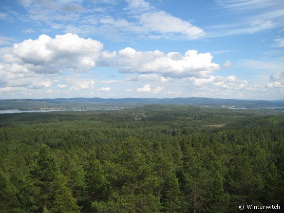 siljan08sollern_naturum33.jpg