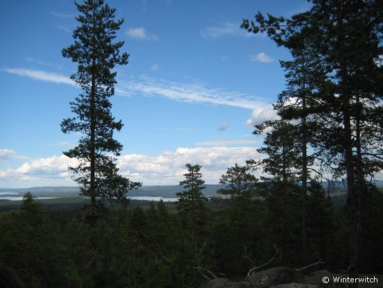 siljan08sollern_naturum37.jpg