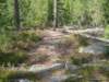 siljan08sollern_naturum40_small.jpg