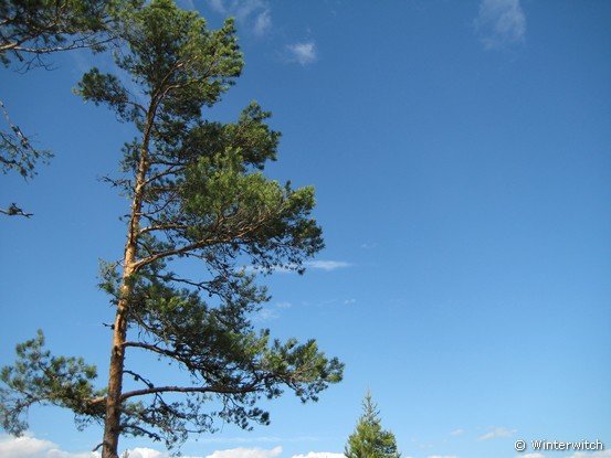 siljan08sollern_naturum41.jpg
