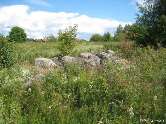 siljan08sollern_naturum9.jpg